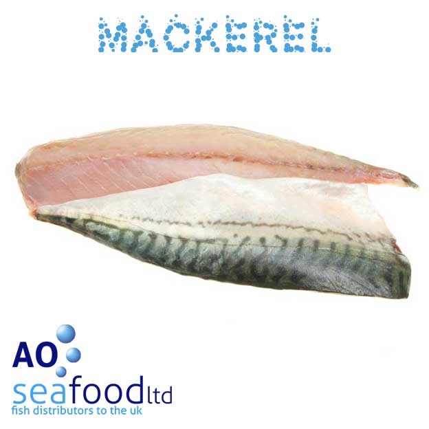 Mackerel AO Seafood Delivery