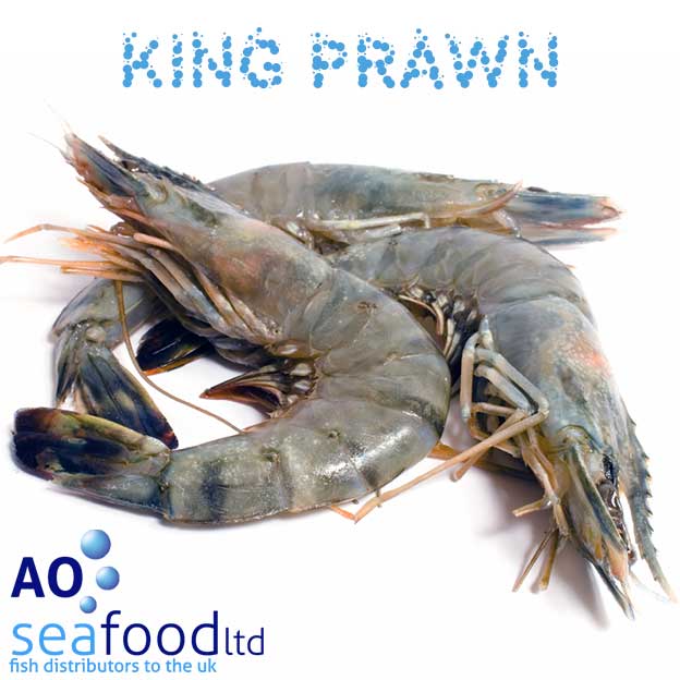 buy king prawns online in uk fresh raw king prawn prawn size