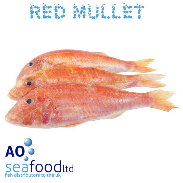 Buy Red Mullet Fresh Red Mullet AO Seafood Delivery