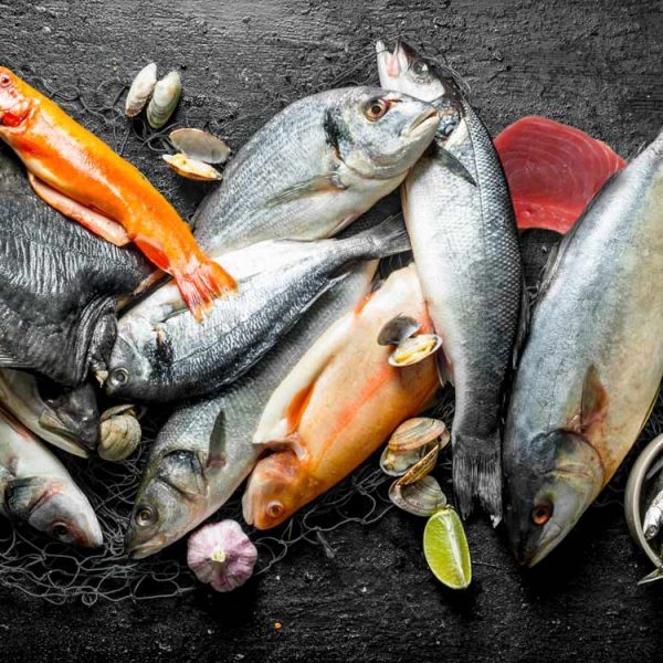 Bodybuilding Fish Box Fish For Bodybuilders Diet