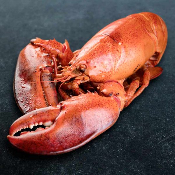 Fresh Lobster online Cooked lobsters Live Lobster