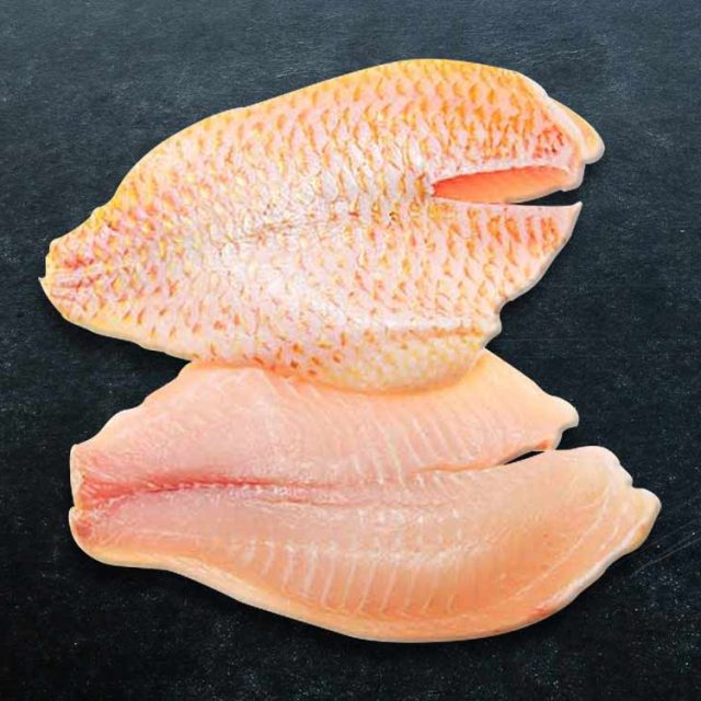 Frozen Red Snapper AO Seafood