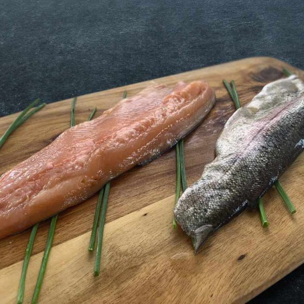 Sea Trout Fresh Sea Trout Fillet