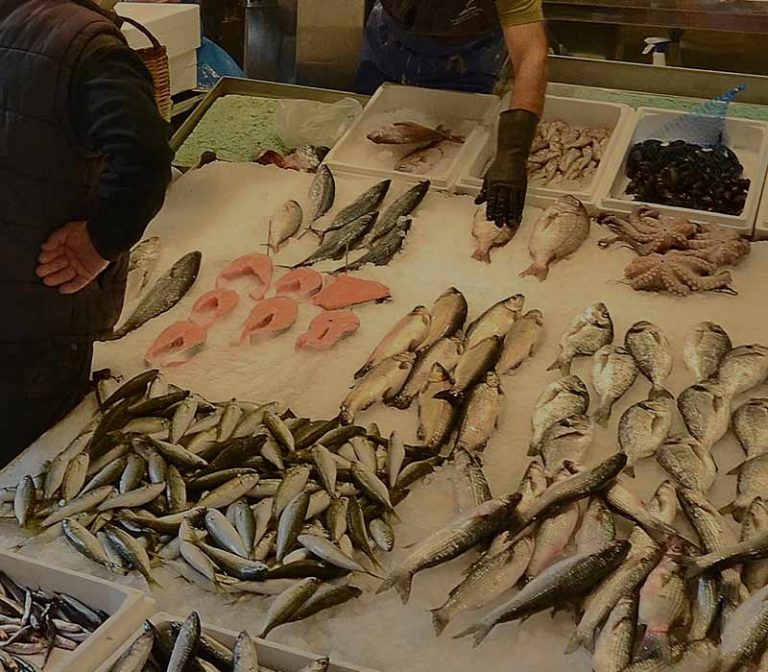 Fresh Fish Delivered to Your Home AO Seafoods Buy Fresh Fish Online