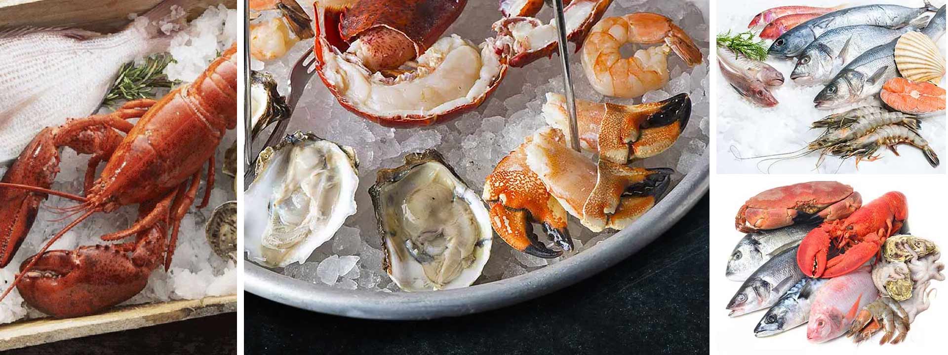 Fresh Fish Delivered to Your Home AO Seafoods Buy Fresh Fish Online